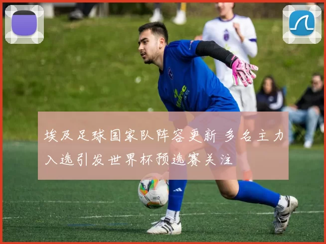 埃及足球国家队阵容更新 多名主力入选引发世界杯预选赛关注