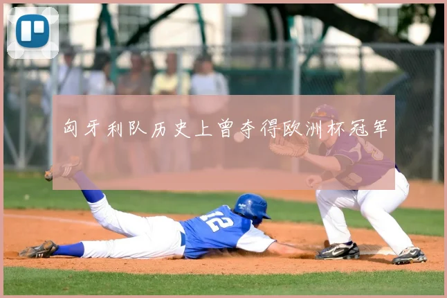 匈牙利队历史上曾夺得欧洲杯冠军